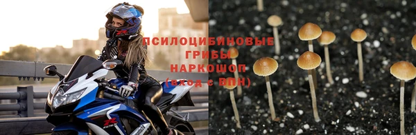 винт Абаза