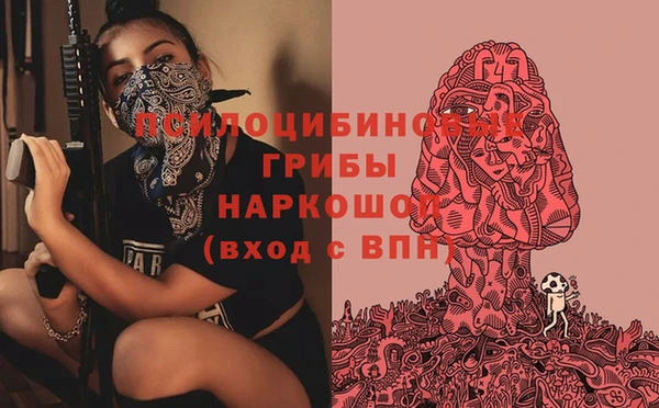 мяу мяу мука Абдулино
