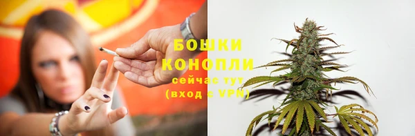 дживик Протвино